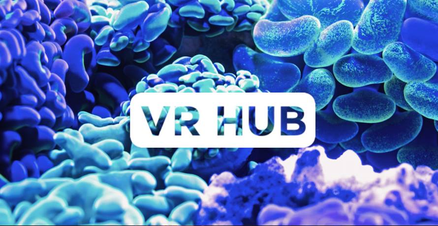 VR Hub: Co-working in the Metaverse