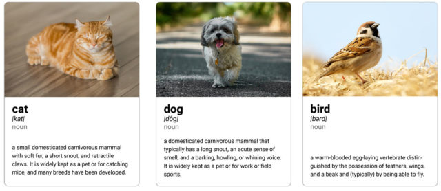 Three animal flash cards that showcase consistency in visual design.