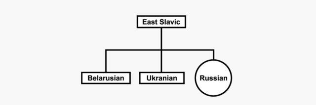 An example of hierarchy diagram showcasing shape as the contrast factor between different sections.